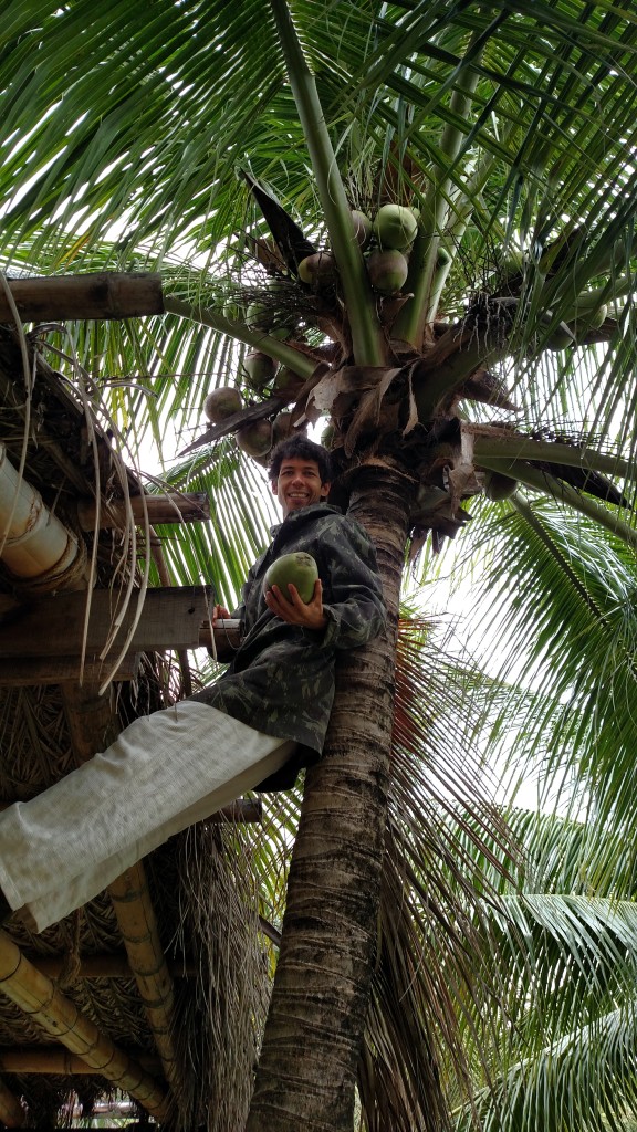 Wagner harvests a coconut at the Pantanal Ranch Meia Lua in Miranda, Brazil.
