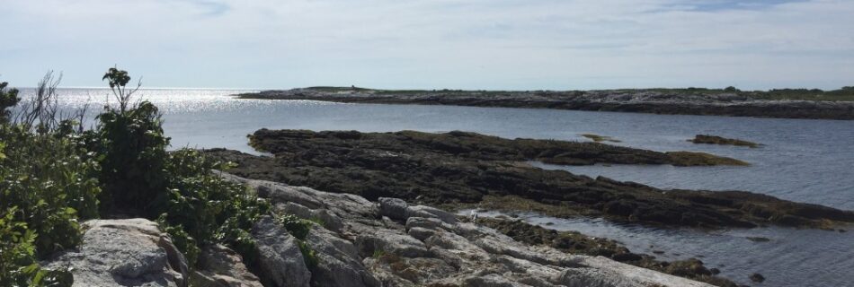 Picture of Smuttynose Island viewed from the shore of Appledore Island