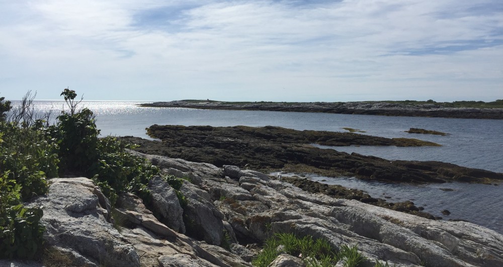 Picture of Smuttynose Island viewed from the shore of Appledore Island