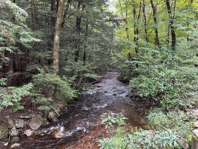 A shallow, wide river with stony banks passes through thick forest in Shutesbury, Massachusetts on a rainy day.